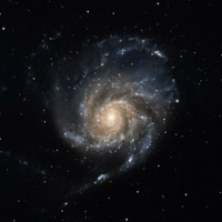 M101