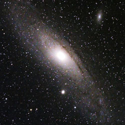 M31