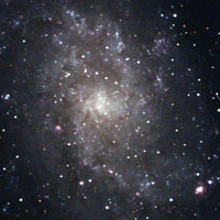 M33