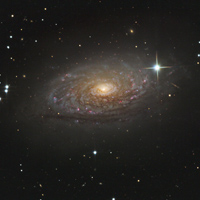 M63