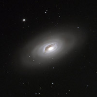 M64