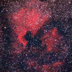 ngc7000