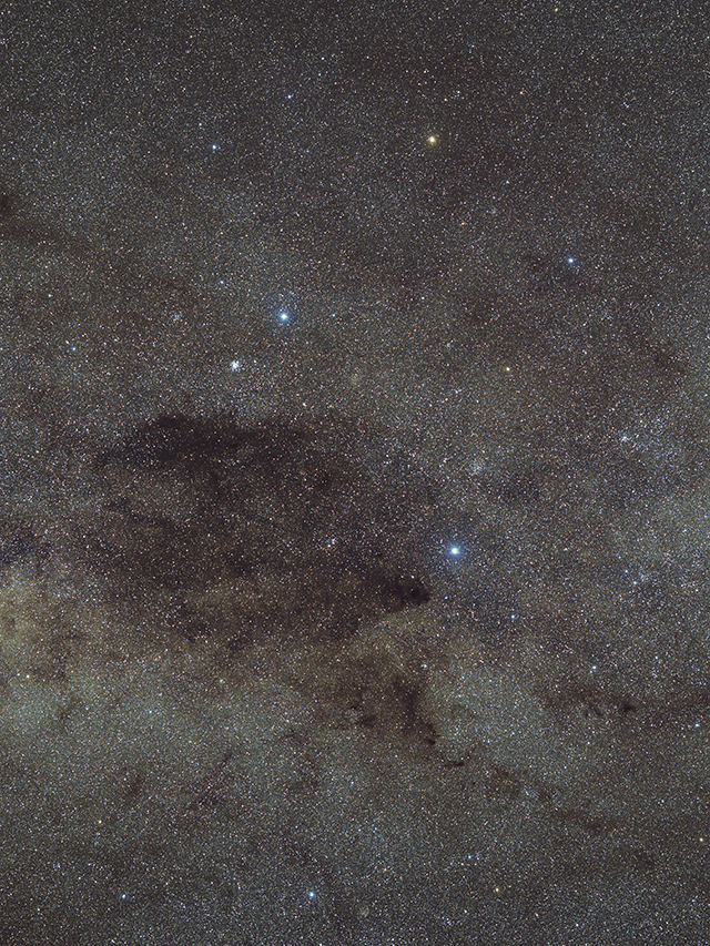 Carina
